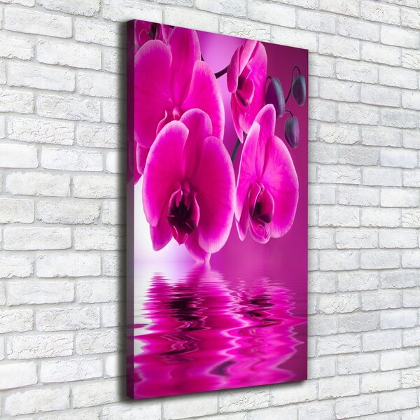 Vertikální Foto obraz na plátně Růžová orchidej ocv-58002130