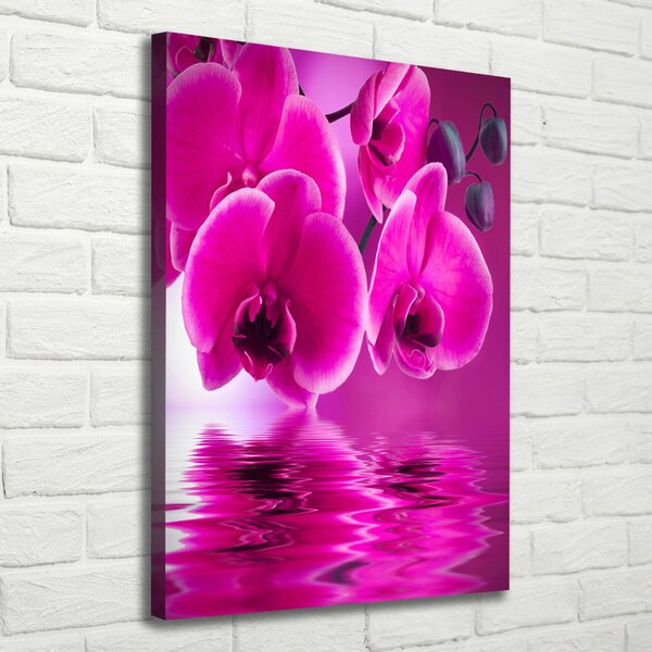 Vertikální Foto obraz na plátně Růžová orchidej ocv-58002130