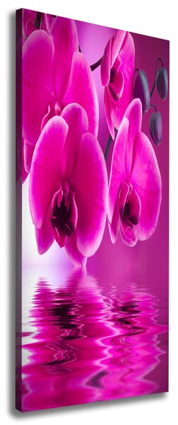 Vertikální Foto obraz na plátně Růžová orchidej ocv-58002130