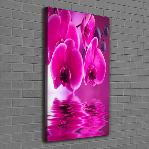 Vertikální Foto obraz na plátně Růžová orchidej ocv-58002130