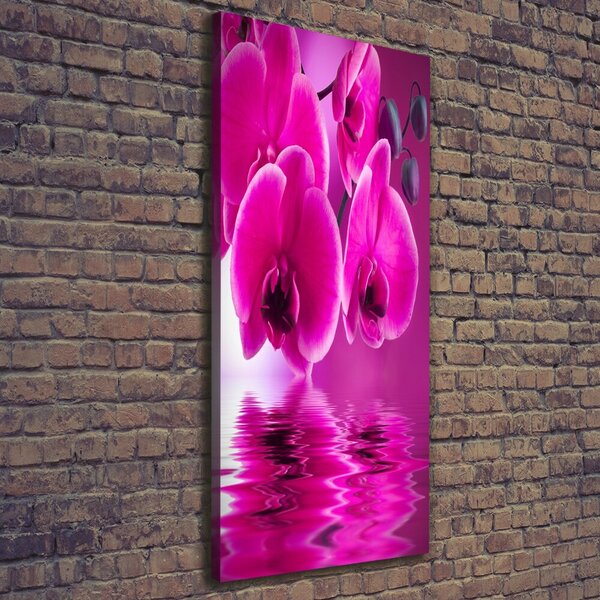 Vertikální Foto obraz na plátně Růžová orchidej ocv-58002130