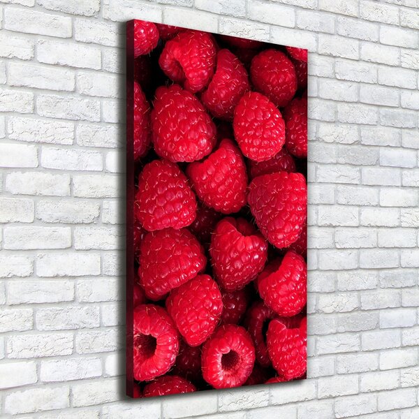Vertikální Moderní fotoobraz canvas na rámu Maliny ocv-58586956