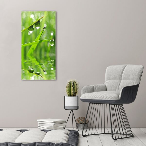 Vertikální Foto obraz canvas Stéblo trávy ocv-59105885