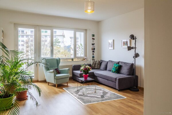 Berfin Dywany, Kusový koberec Elite 3935 Grey, 200x290, šedá, kancelář