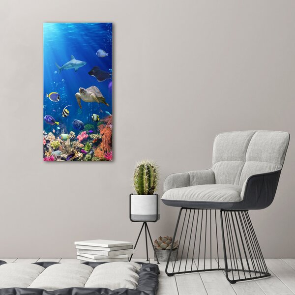 Vertikální Foto obraz canvas Korálový útes ocv-61347812