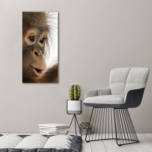 Vertikální Foto obraz na plátně Mladý orangutan ocv-61570229
