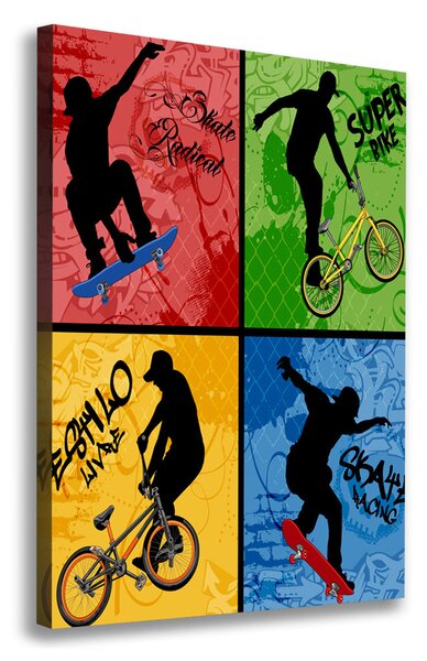 Vertikální Foto obraz na plátně Kolo a skateboard ocv-62041859