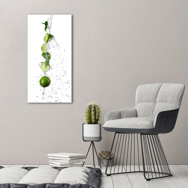 Vertikální Moderní obraz canvas na rámu Limetky ocv-63071729