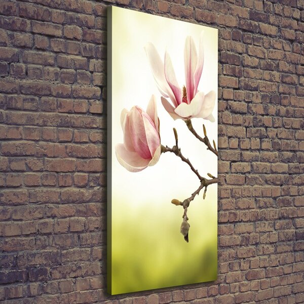 Vertikální Foto obraz na plátně Květy magnolie ocv-64406136