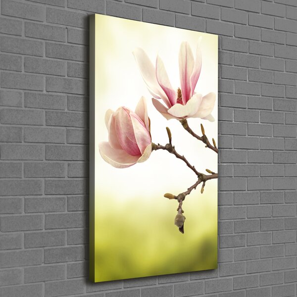 Vertikální Foto obraz na plátně Květy magnolie ocv-64406136