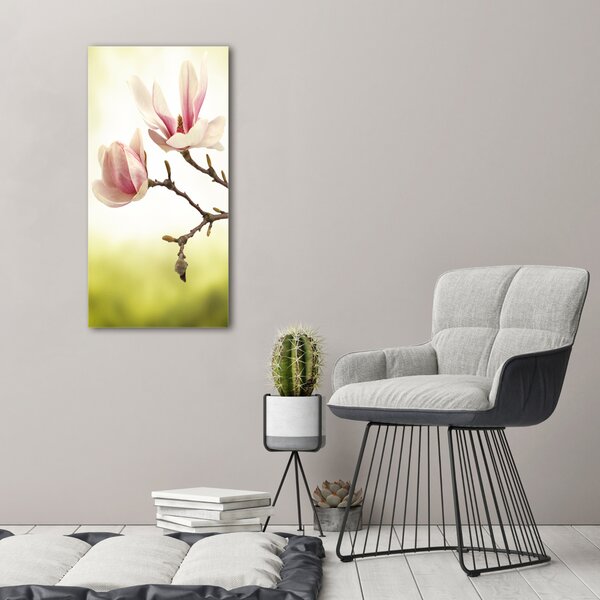 Vertikální Foto obraz na plátně Květy magnolie ocv-64406136