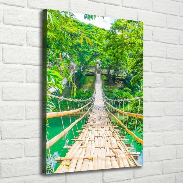 Vertikální Foto obraz canvas Visací most ocv-64435231