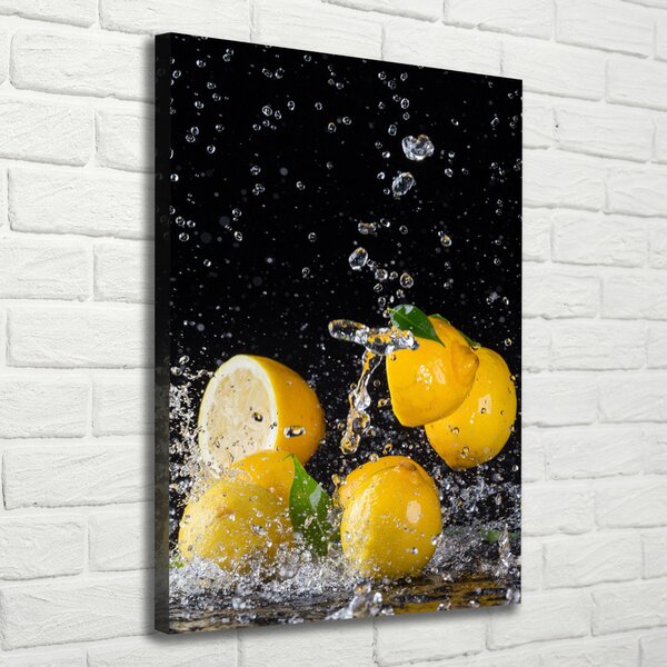 Vertikální Moderní obraz canvas na rámu Citron ocv-64818305