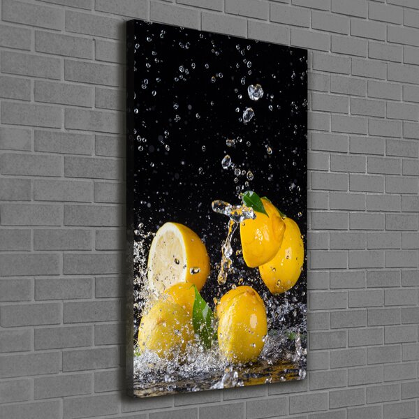 Vertikální Moderní obraz canvas na rámu Citron ocv-64818305