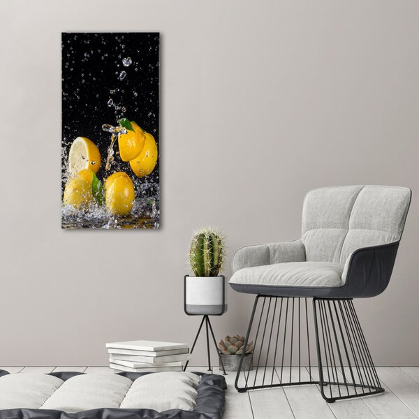 Vertikální Moderní obraz canvas na rámu Citron ocv-64818305