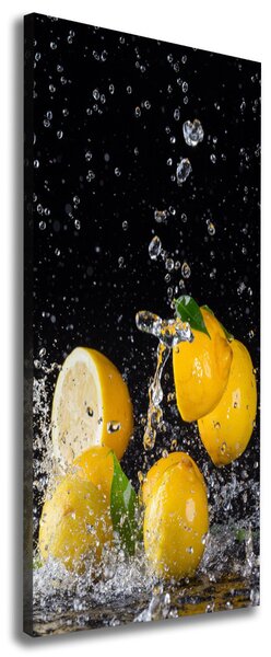 Vertikální Moderní obraz canvas na rámu Citron ocv-64818305