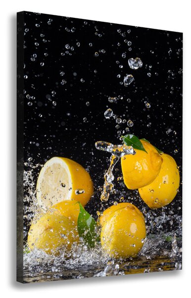 Vertikální Moderní obraz canvas na rámu Citron ocv-64818305