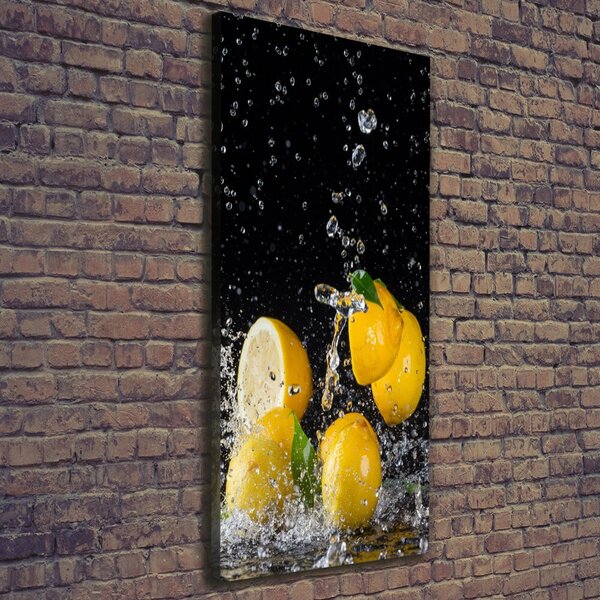Vertikální Moderní obraz canvas na rámu Citron ocv-64818305