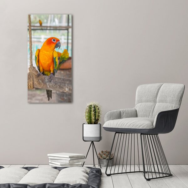 Vertikální Moderní fotoobraz canvas na rámu Papoušek ocv-64972038