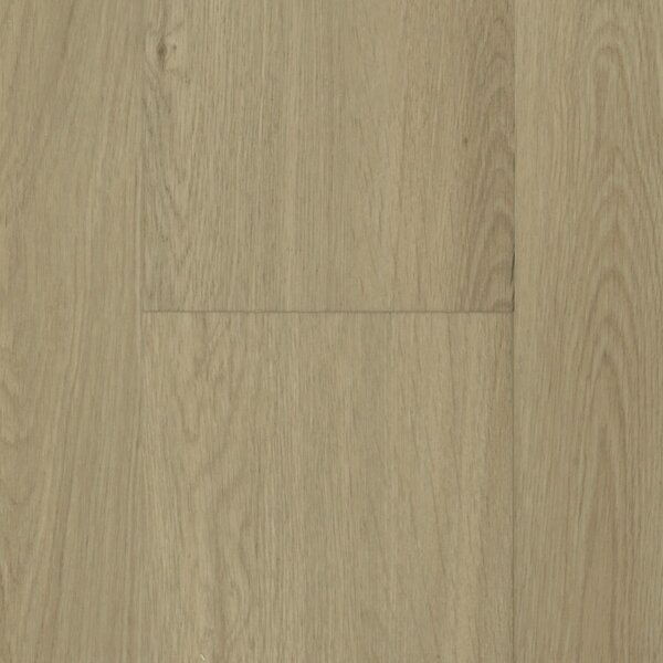 Zenith SPC Ardena 4,5 mm EWH-3846 3,083 m2