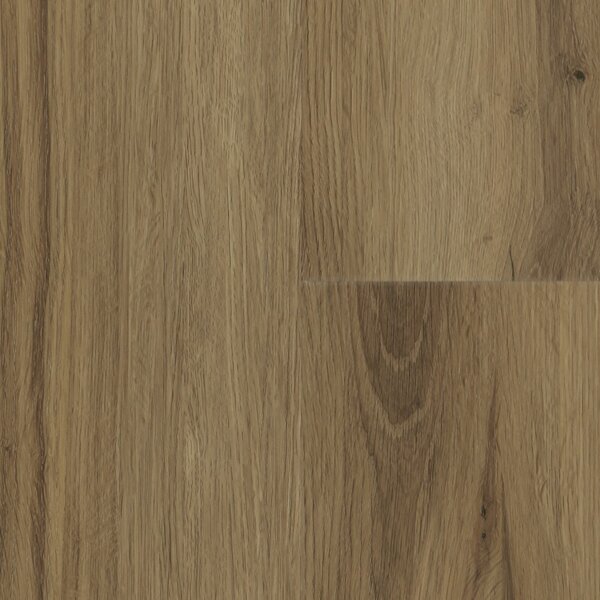 Zenith EPC Ambra 6,5 mm EWH-3847 3,199 m2