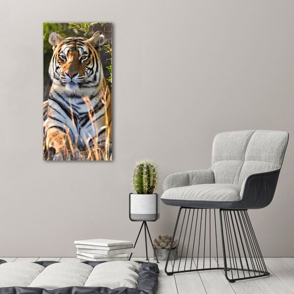 Vertikální Moderní fotoobraz canvas na rámu Tygr ocv-65374714