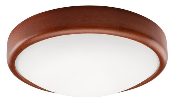 LED Stropní svítidlo LED/12W/230V