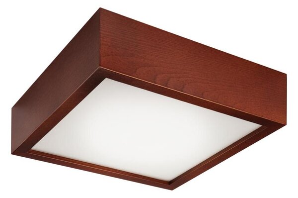LED Stropní svítidlo LED/12W/230V