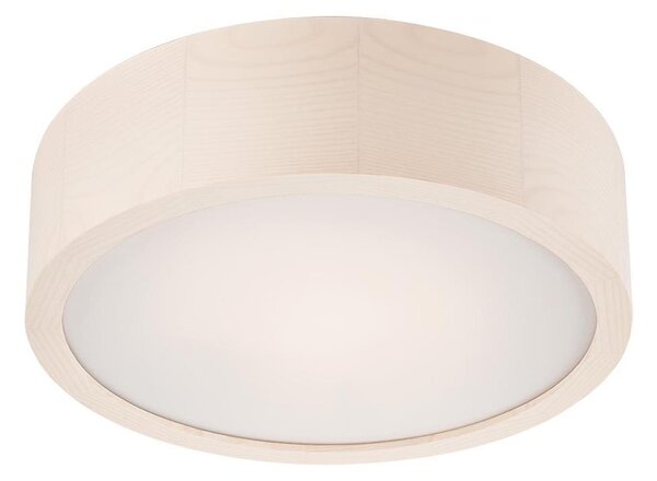 LED Stropní svítidlo LED/12W/230V