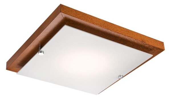 Stropní svítidlo 1xE27/60W/230V