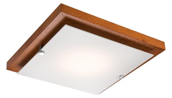 LED Stropní svítidlo LED/12W/230V