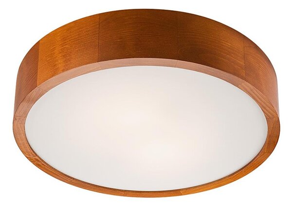 LED Stropní svítidlo LED/24W/230V