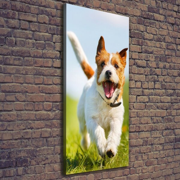 Vertikální Foto obraz na plátně Pes Jack Russell ocv-65993423