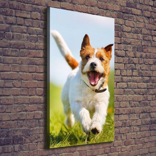 Vertikální Foto obraz na plátně Pes Jack Russell ocv-65993423