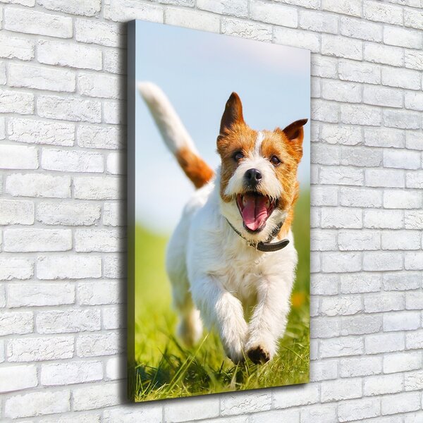 Vertikální Foto obraz na plátně Pes Jack Russell ocv-65993423