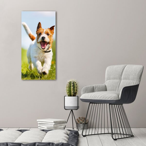 Vertikální Foto obraz na plátně Pes Jack Russell ocv-65993423