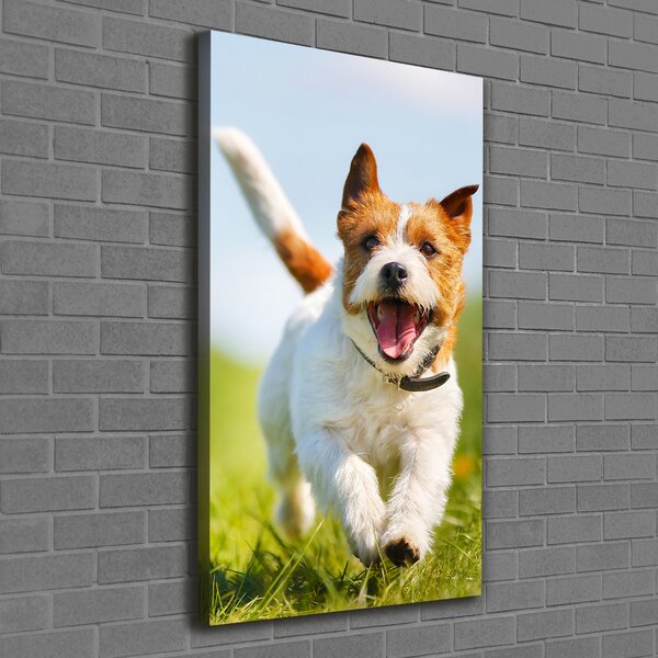 Vertikální Foto obraz na plátně Pes Jack Russell ocv-65993423