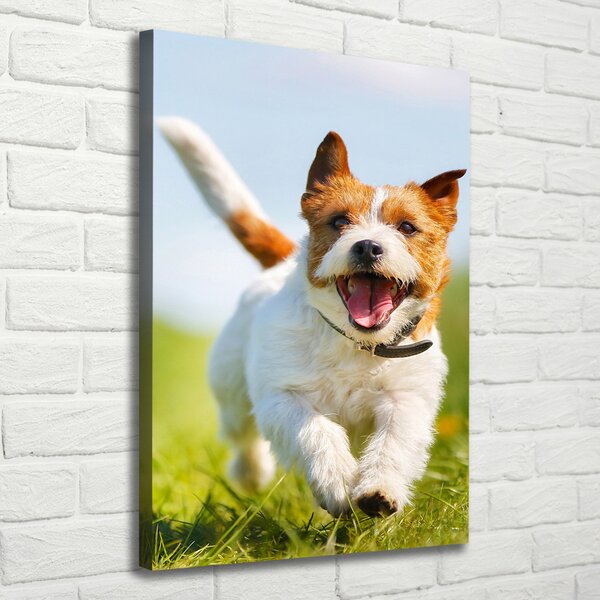 Vertikální Foto obraz na plátně Pes Jack Russell ocv-65993423