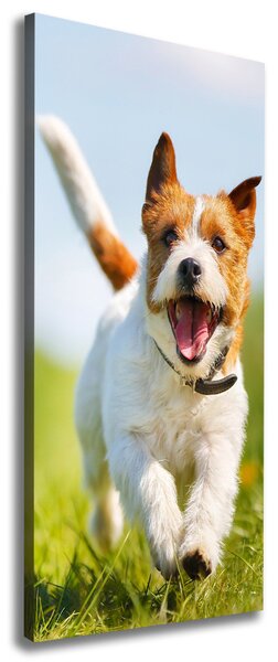 Vertikální Foto obraz na plátně Pes Jack Russell ocv-65993423