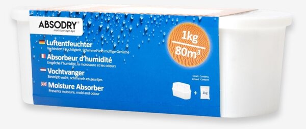 Everbrand Sweden Everbrand pohlcovač vlhkosti Absodry Big Compact pro místnost do 80 m3, 1000 g