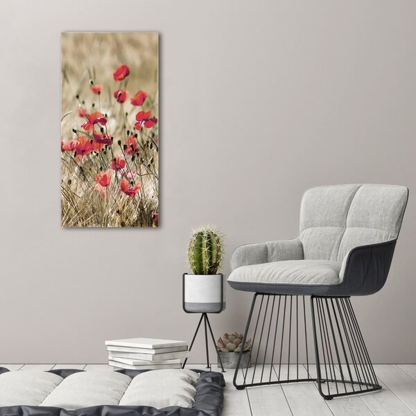 Vertikální Foto obraz canvas Polní květiny ocv-66291805