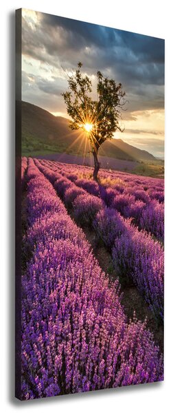 Vertikální Foto obraz canvas Pole levandule ocv-67085325