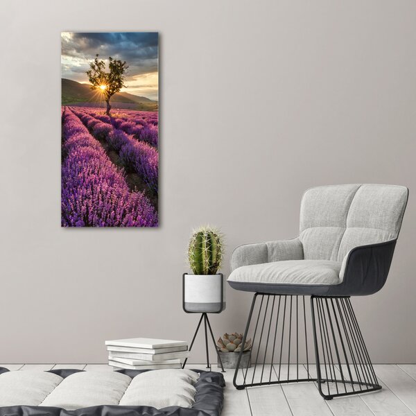 Vertikální Foto obraz canvas Pole levandule ocv-67085325