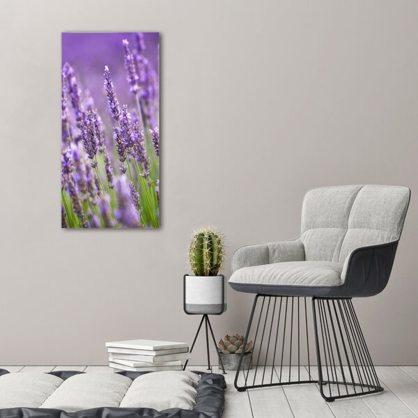 Vertikální Foto obraz canvas Pole levandule ocv-67144915