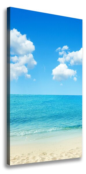 Vertikální Foto obraz na plátně Tropická pláž ocv-67235061