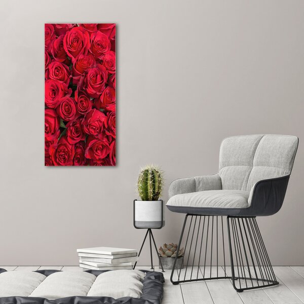 Foto-obraz canvas do obýváku Červené růže ocv-67561194