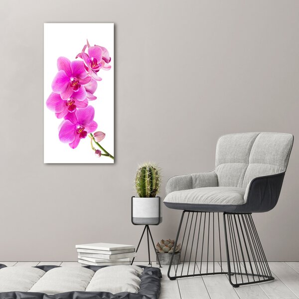Vertikální Foto obraz na plátně Růžová orchidej ocv-67673367