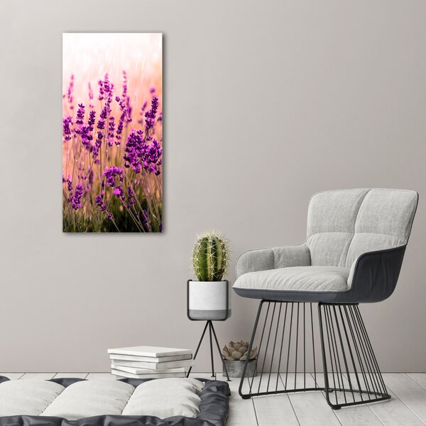 Vertikální Foto obraz canvas Pole levandule ocv-67946318