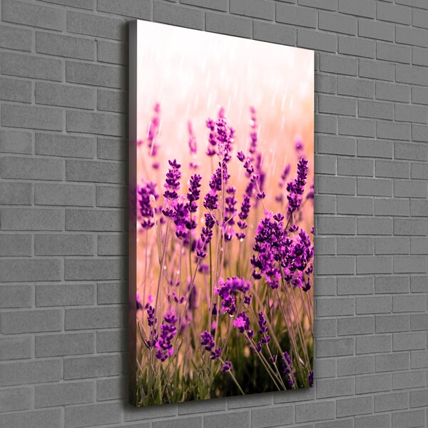Vertikální Foto obraz canvas Pole levandule ocv-67946318