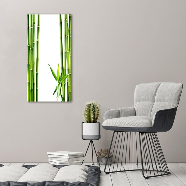 Vertikální Moderní fotoobraz canvas na rámu Bambus ocv-68827460